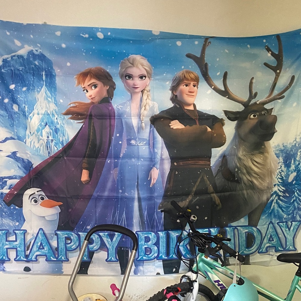 Frozen Birthday Backdrop